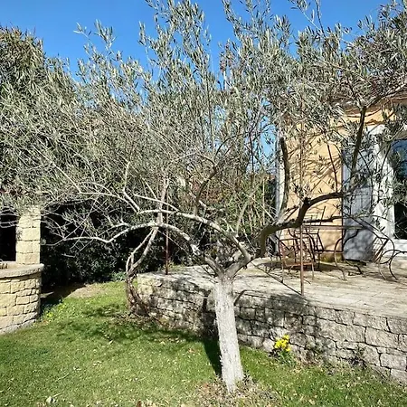 Belle Maison Provencale Au Pied Du Mont Ventoux Villa *